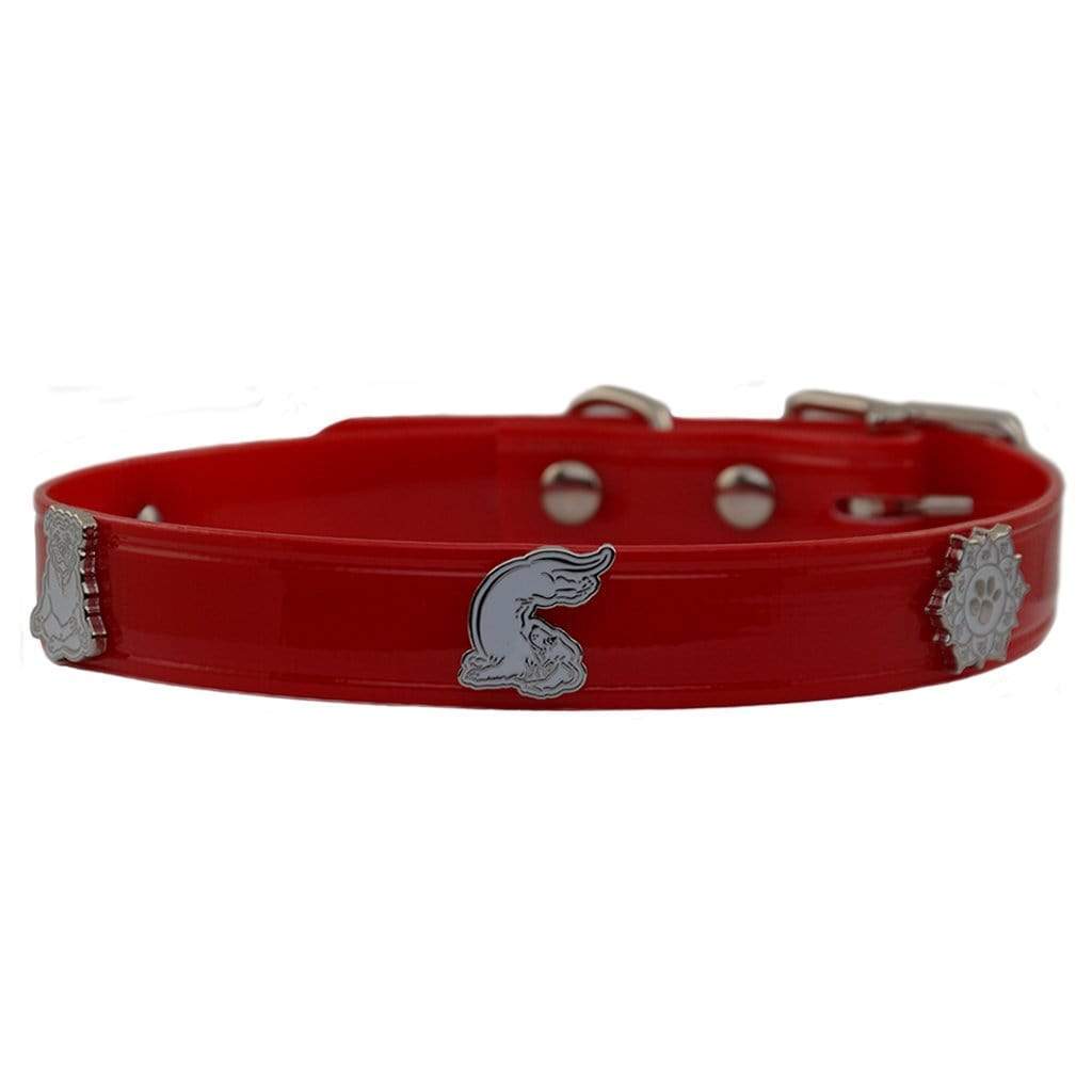 Clearance dog collars shop