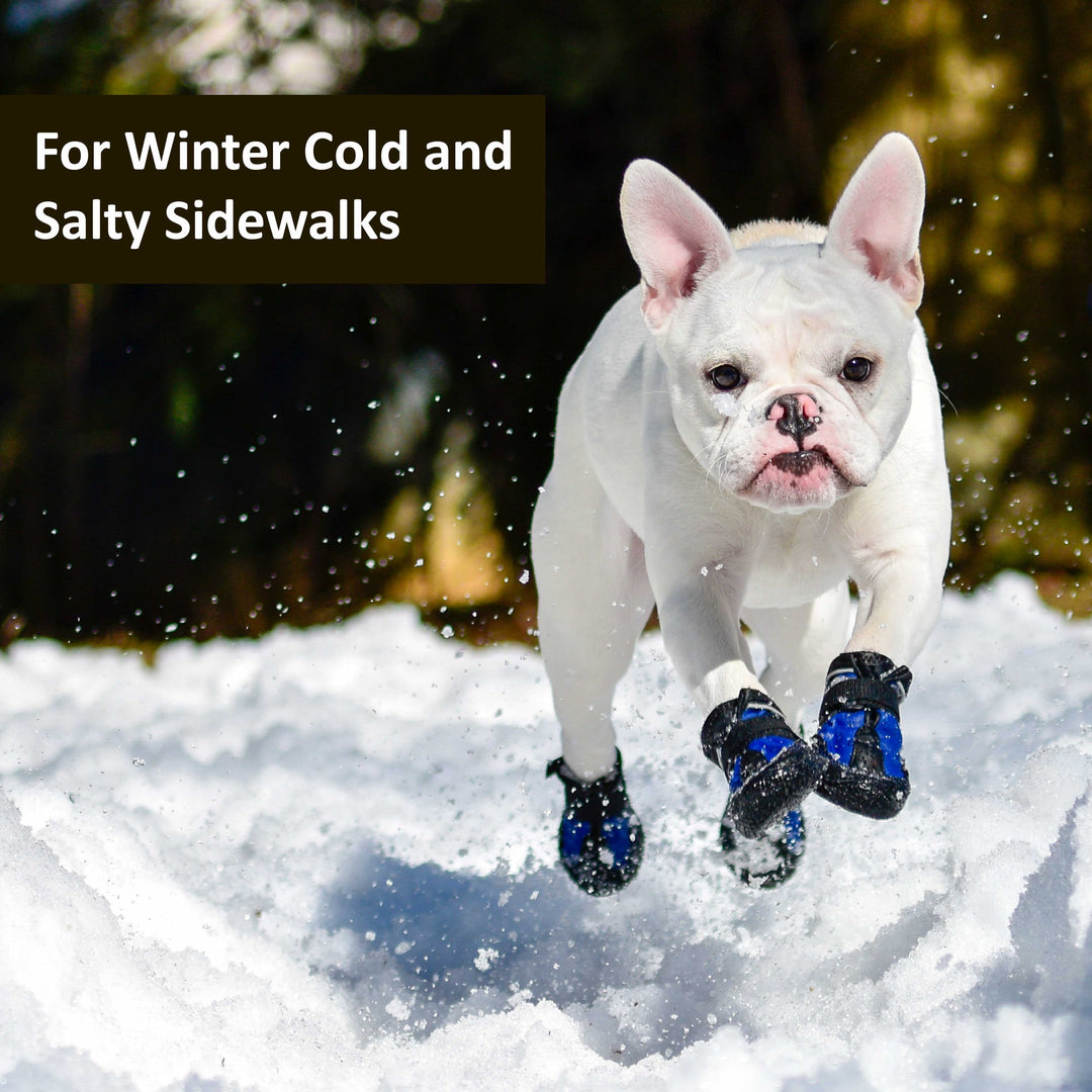 Snow Mushers – Muttluks US