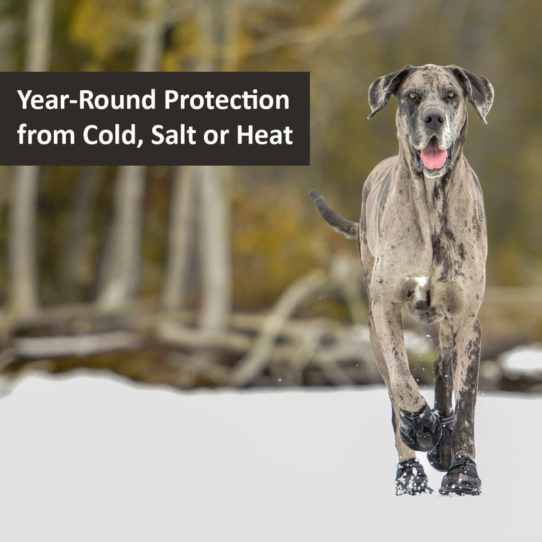 靴 Mutty Mutt Trackers – Muttluks US