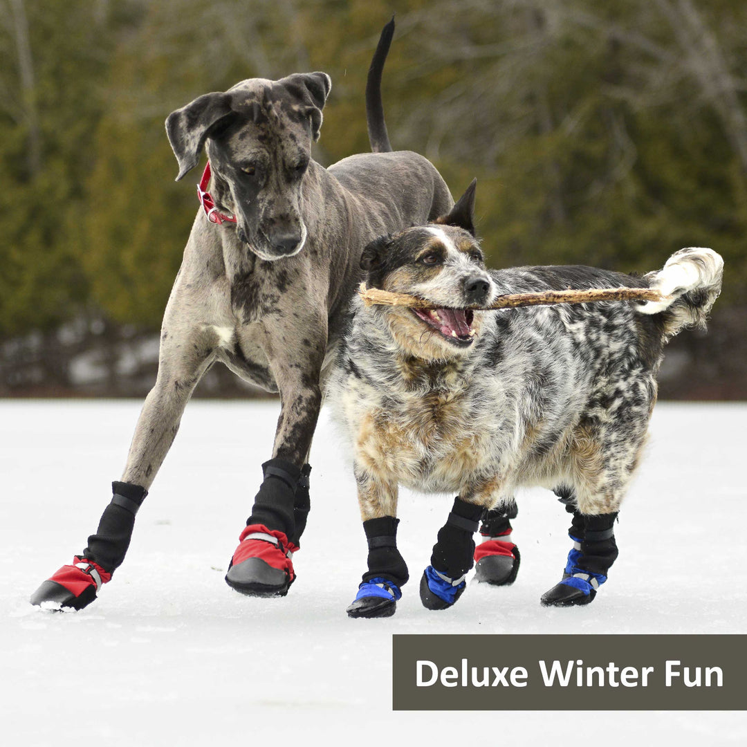 Muttluks: Original Dog Boots – Muttluks US