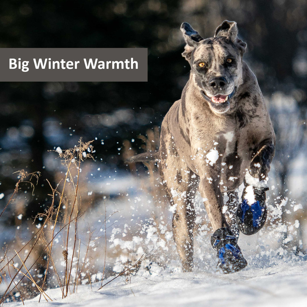 Snow Mushers – Muttluks US