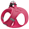 XXX Small / Fuchsia