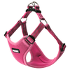 X Small / Fuchsia