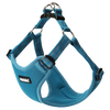 X Small / Turquoise