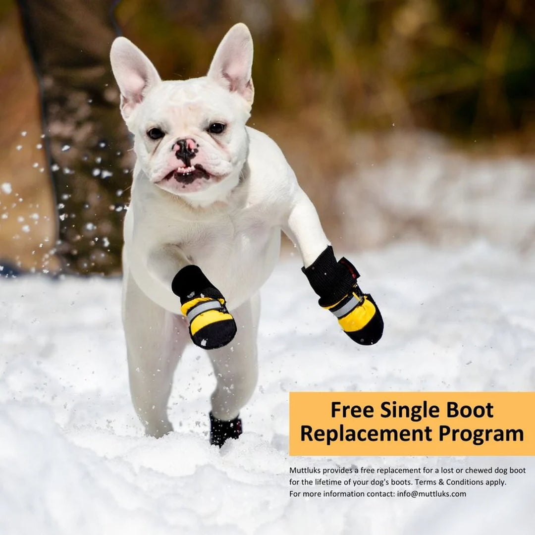 Snow Mushers – Muttluks US