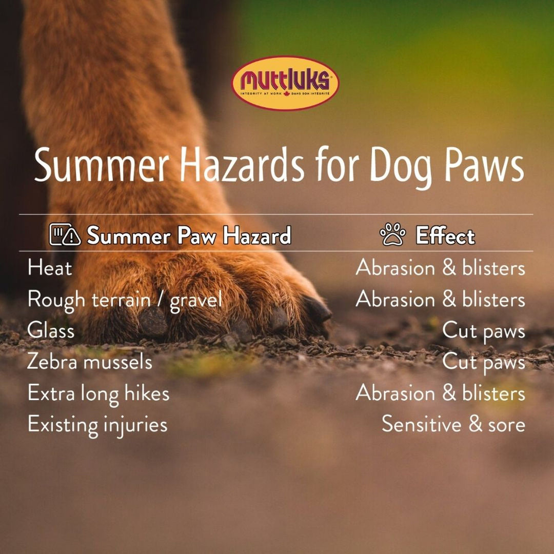 Mutt Trackers – Muttluks US